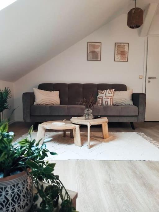 Stylische Altstadtwohnung - Netflix - Smart Tv - Schlafsofa Fuer 3 Personen Эрфурт Экстерьер фото